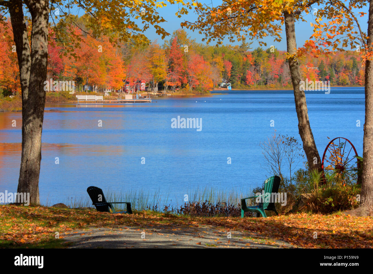 Hardwood trees change colour in the fall around the rim of a crystal