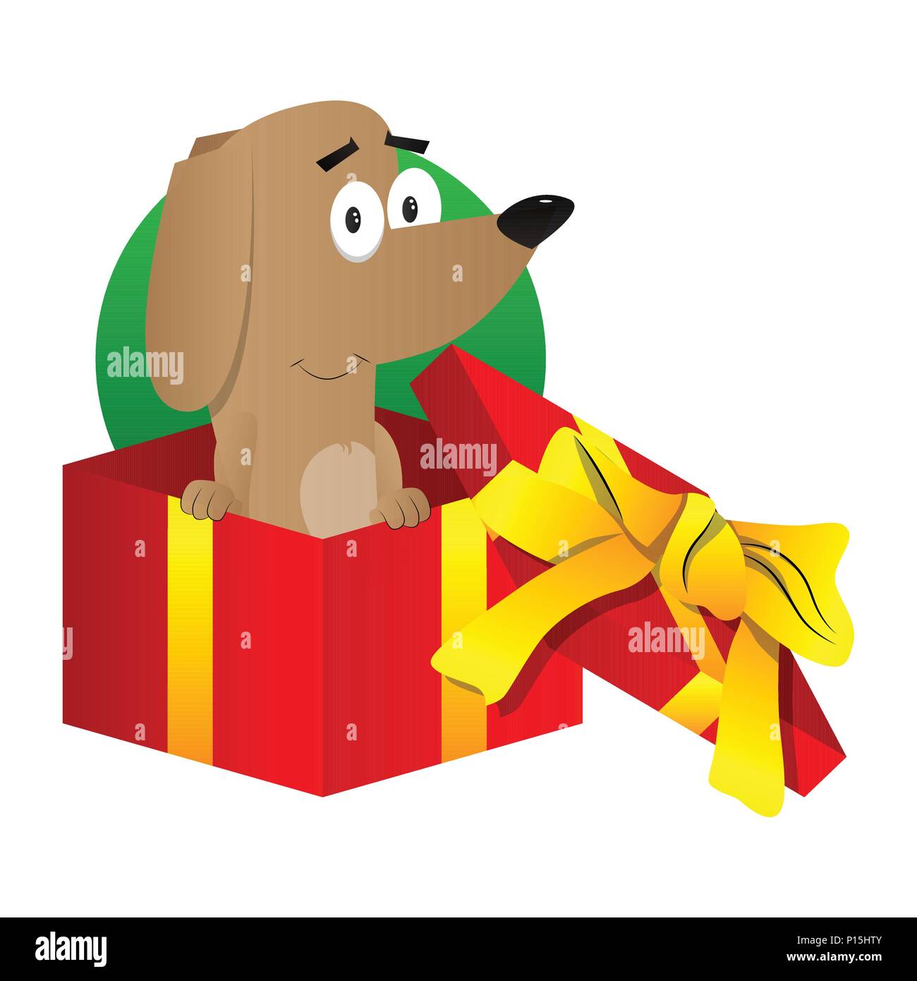 dog in gift box