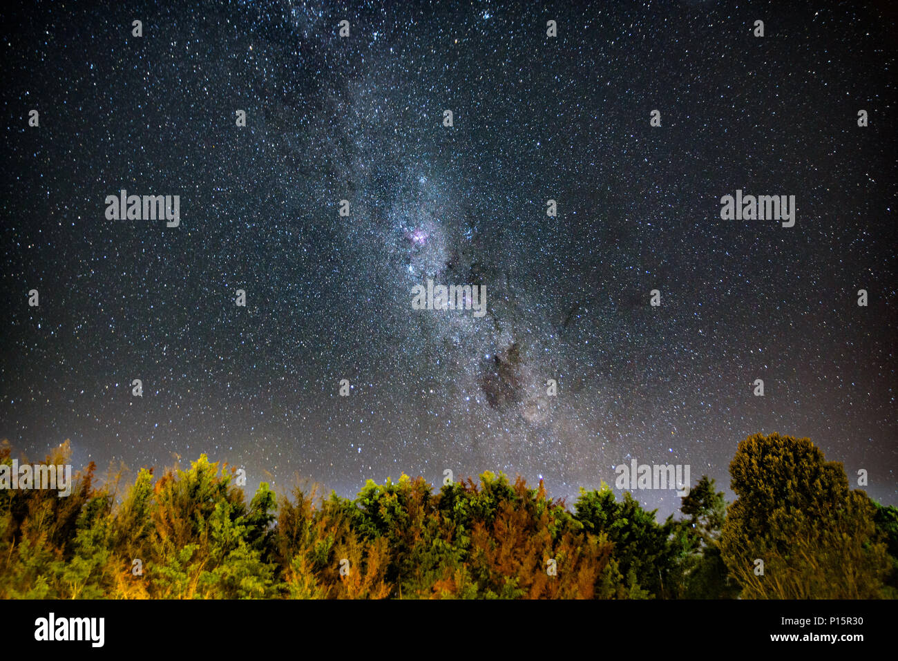 Starry night with milky way above forest Stock Photo