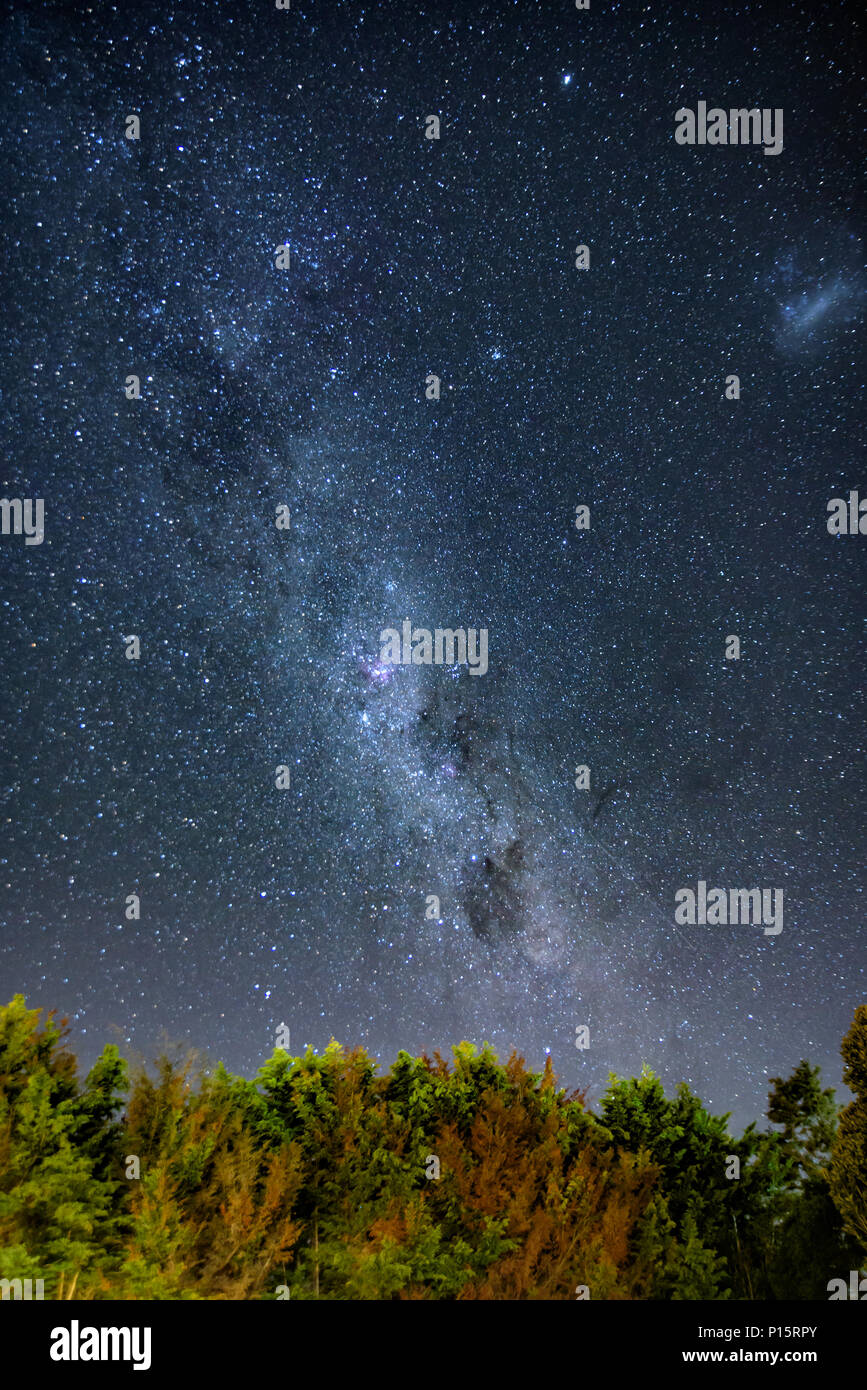 Starry night with milky way above forest Stock Photo