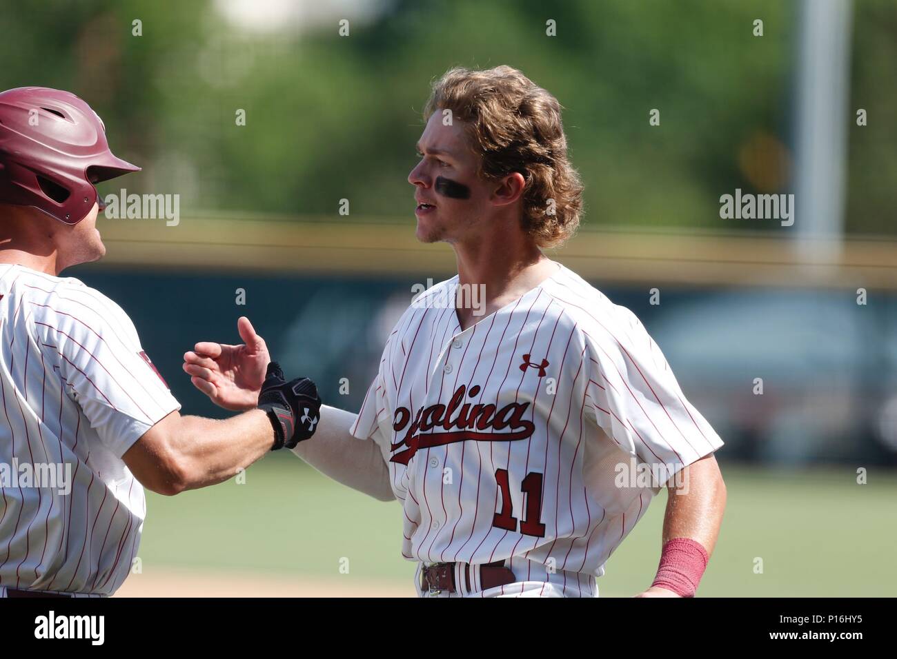 Jun 10, 2018: South Carolina short stop LT Tolbert #11 congratulates Justin Row #3 following a hit. South Carolina defeated Arkansas 8-5 in the NCAA Super Regional at Baum Stadium in Fayetteville, AR, Richey Miller/CSM Stock Photo