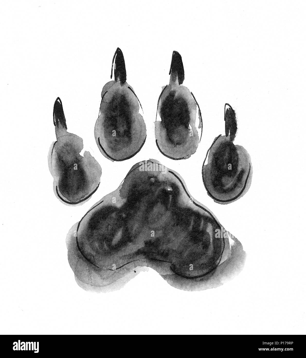Wolf paw print. Ink black and white sketch Photo Alamy