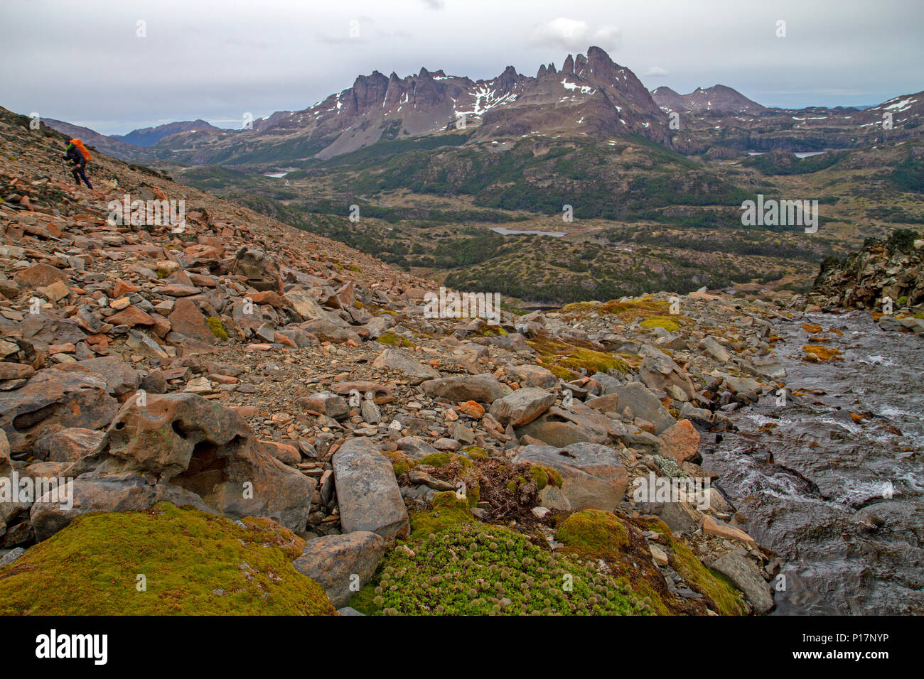 View to Cerro Clem from Paso Virginia along the Dientes Circuit Stock Photo