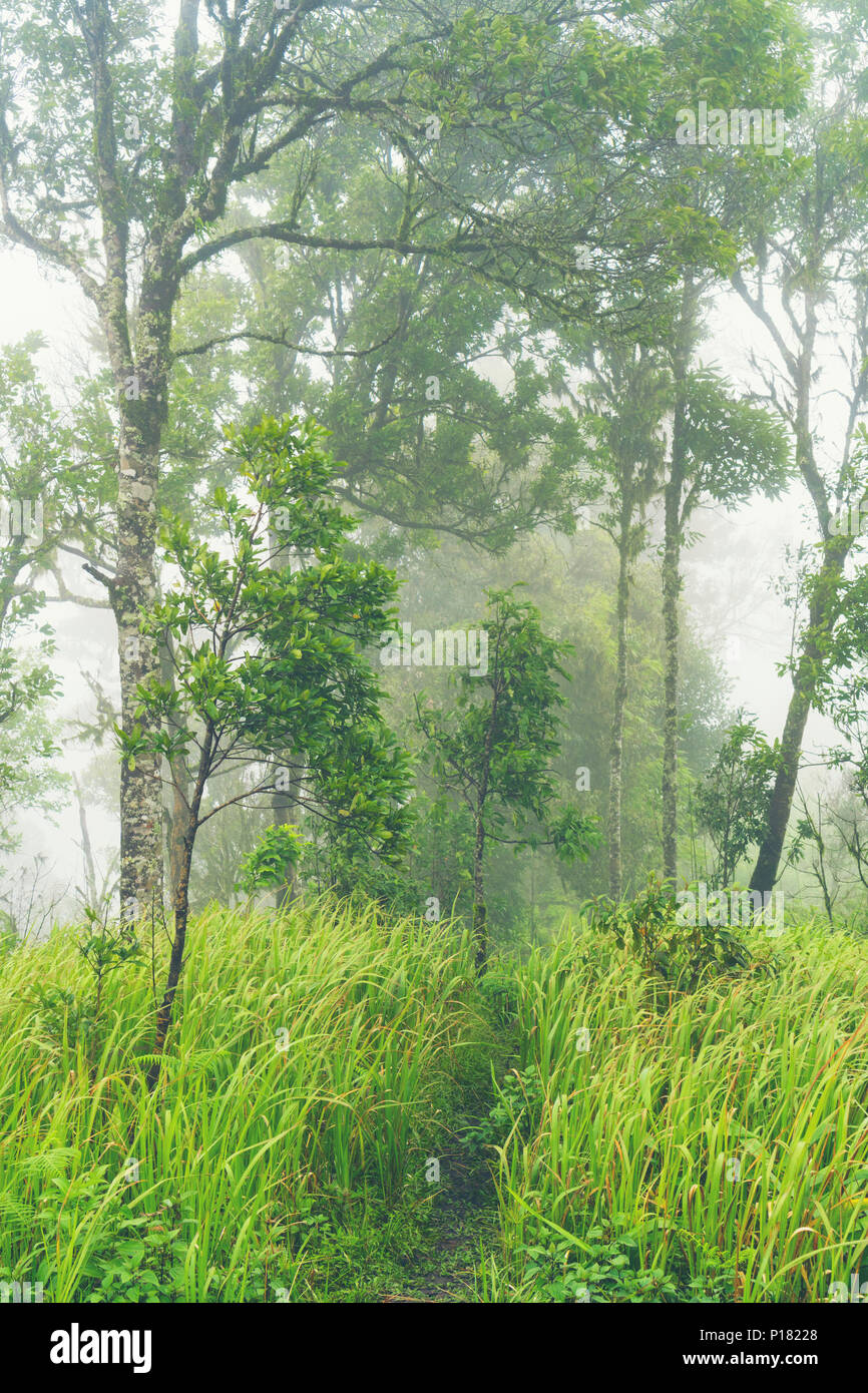 The image of abundant natural resources. In the World Heritage Site