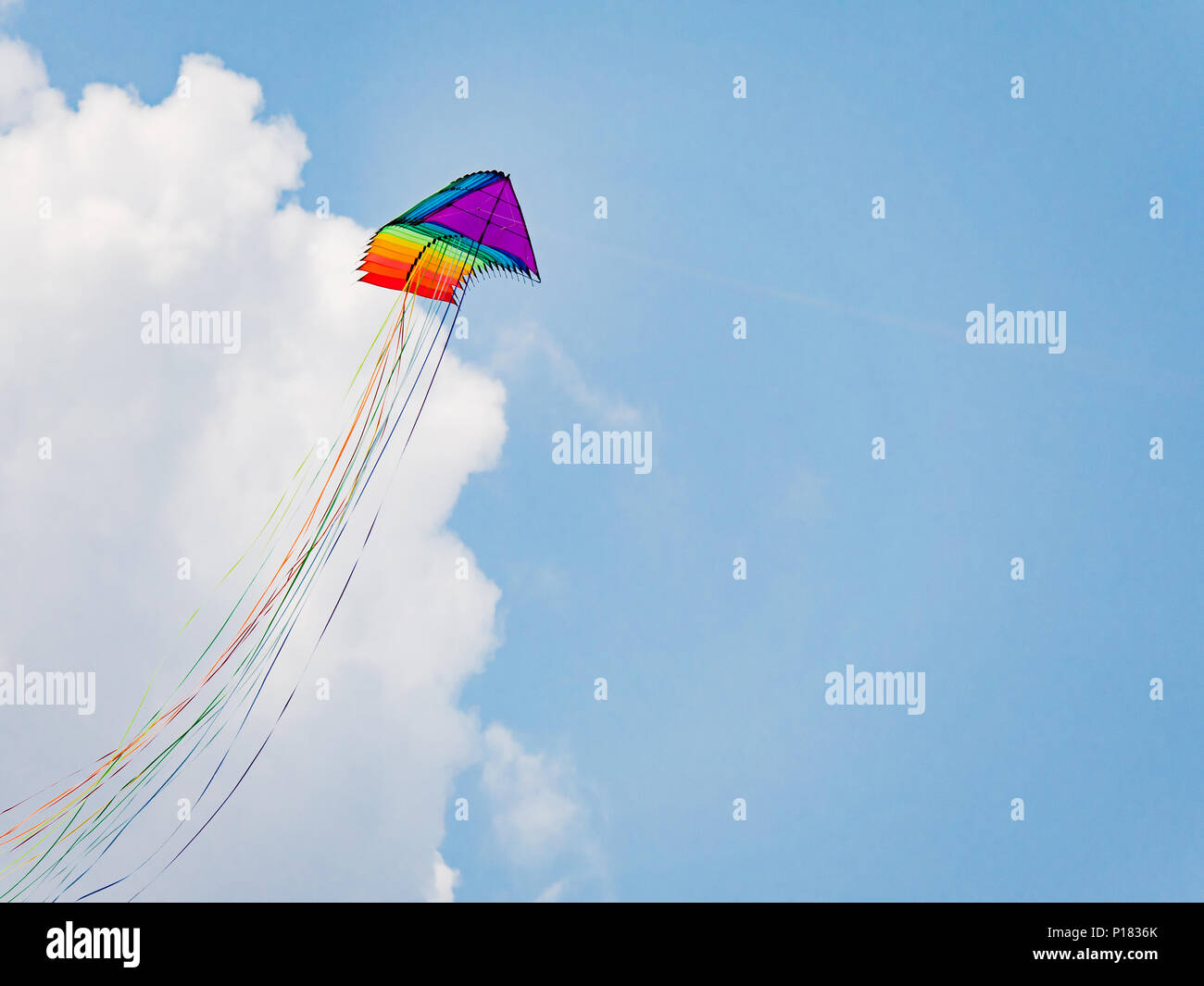 Stack of 16 2line delta stunt kites with long tails in the colours of