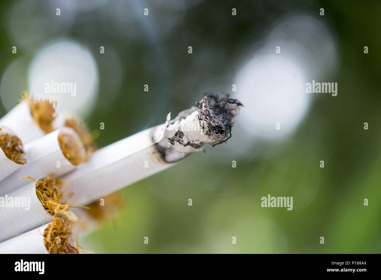Burning Cigarette Stock Photos & Burning Cigarette Stock Images Alamy