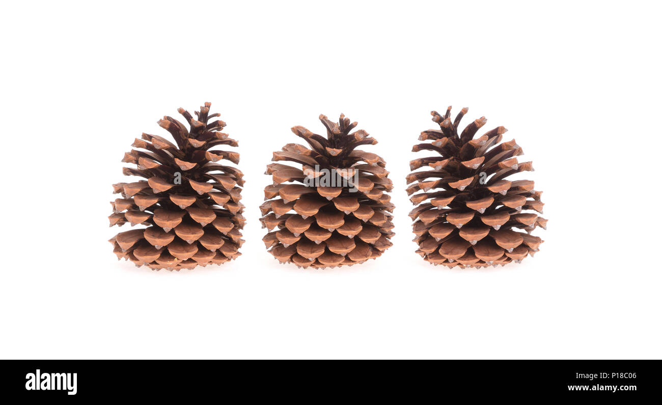 Three pine cones isolated on a white background Stock Photo - Alamy