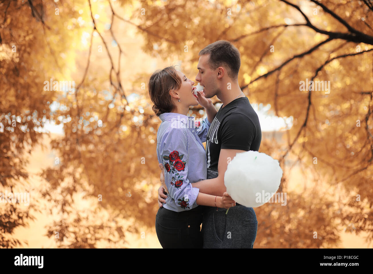Beautiful young couple on a walk in the autumn park Stock Photo - Alamy