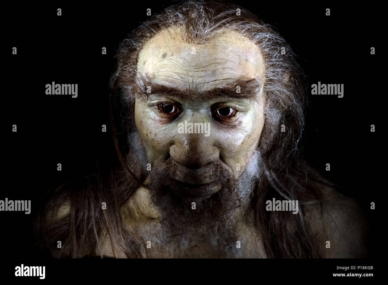 homo sapiens man face isolated on black Stock Photo