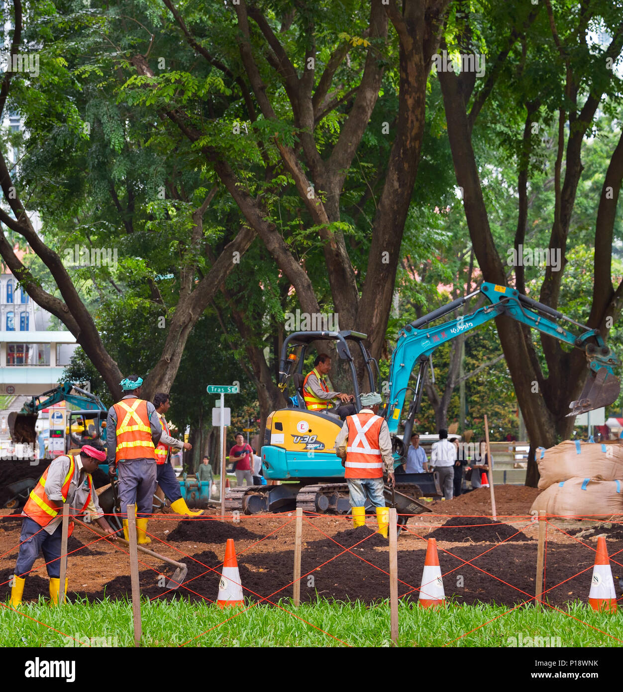 SINGAPORE - JAN 16, 2017: Workers work in public park in Singapore. Singapore is a major political, financial, cultural hub in Asia. Stock Photo