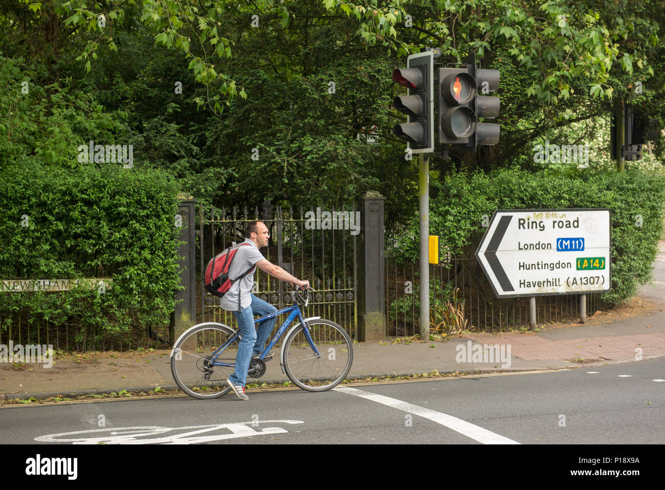 A male cyclist waits at a red traffic light at a pedestrian crossing near a directional road sign on the Ring Road, Cambridge, England. The sign indic Stock Photo