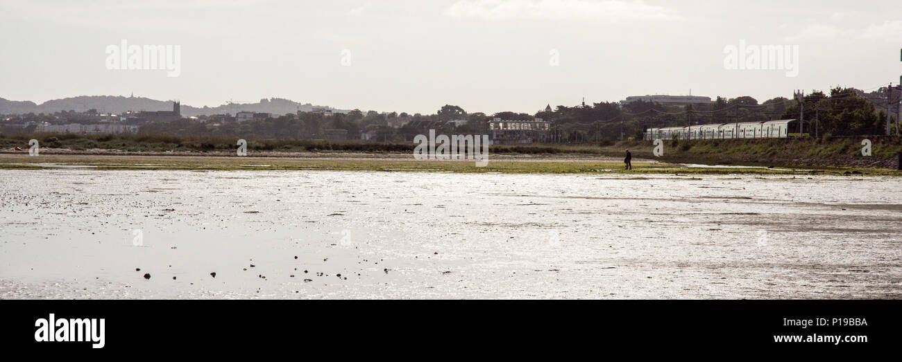dublin area rapid transit
