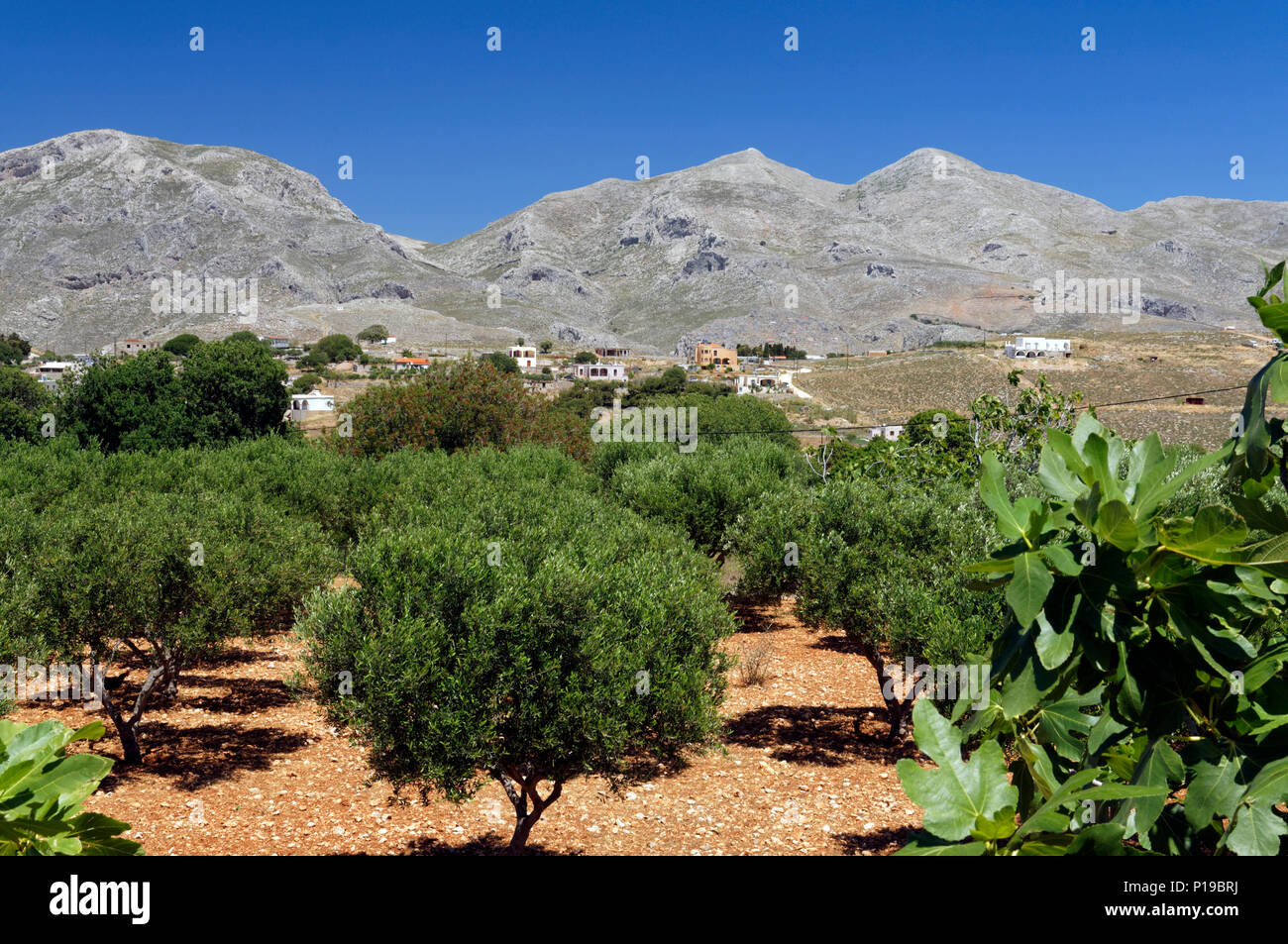 Fertile plateau hires stock photography and images Alamy