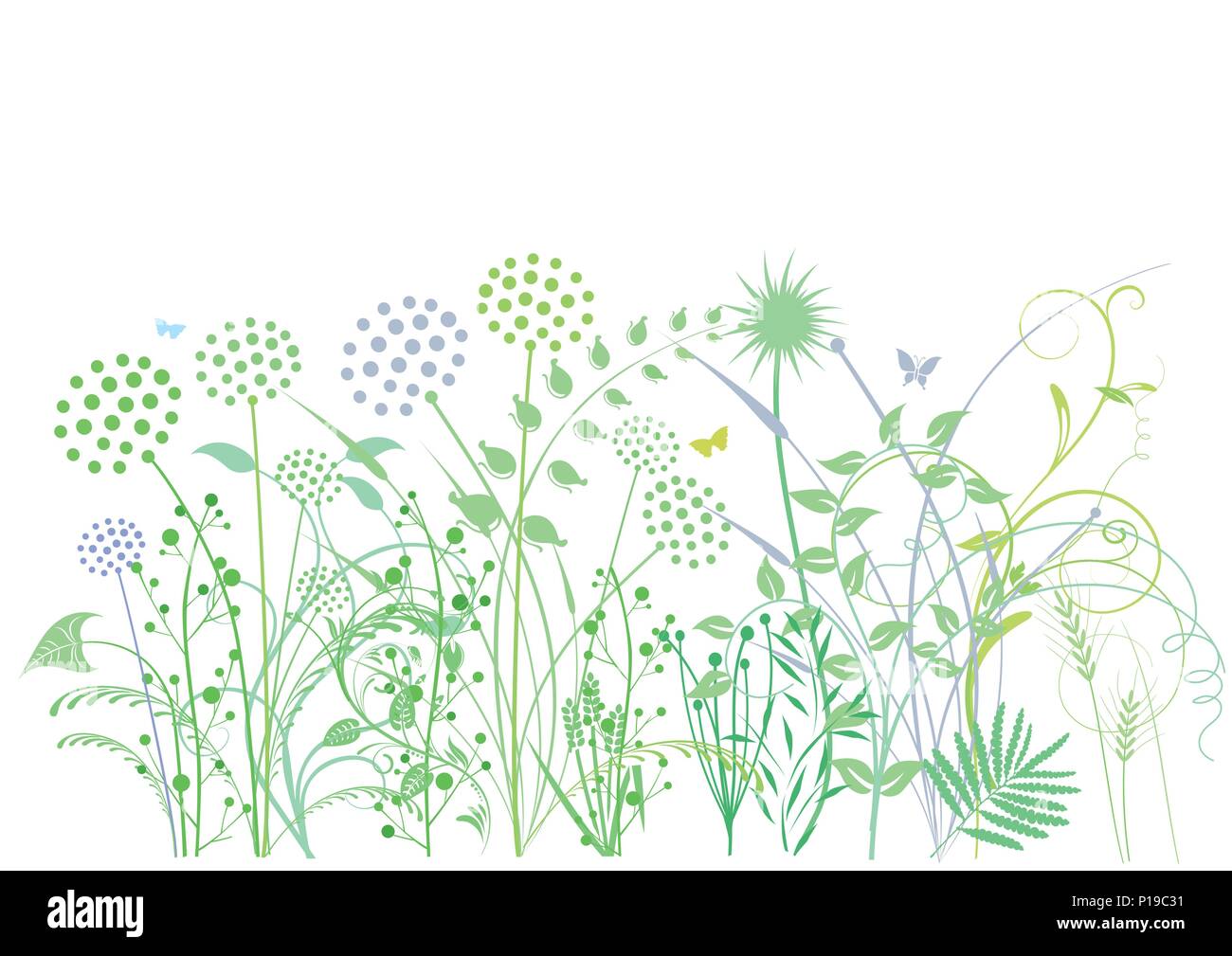 Grasses, herbs, plants, illustration Stock Vector
