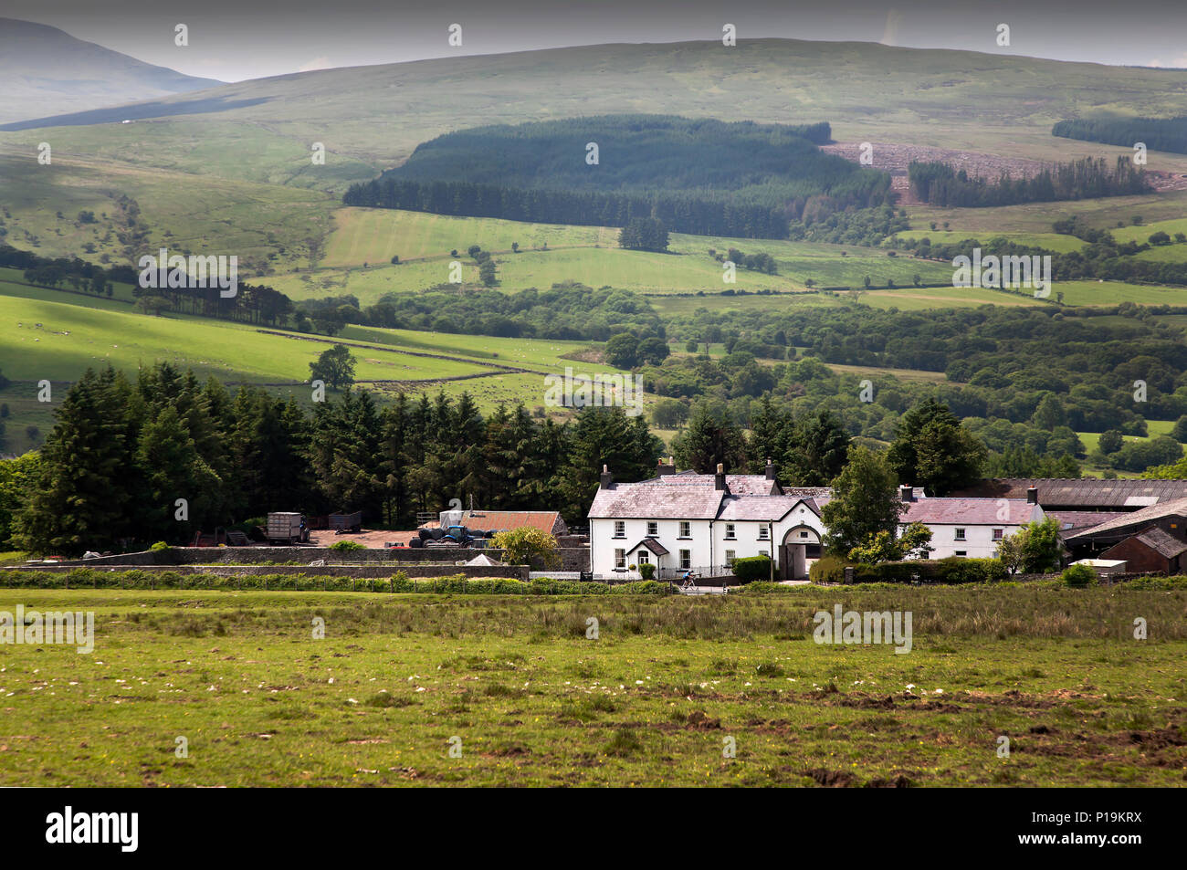 Farm in the Fforest Fawr area of the Brecon Beacons National Park, Wales, UK Stock Photo