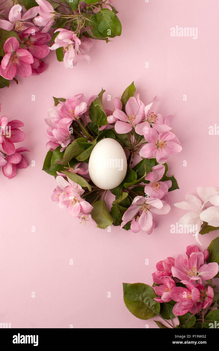 Easter eggs and pink flowers on white background. Easter nest. Flat lay ...