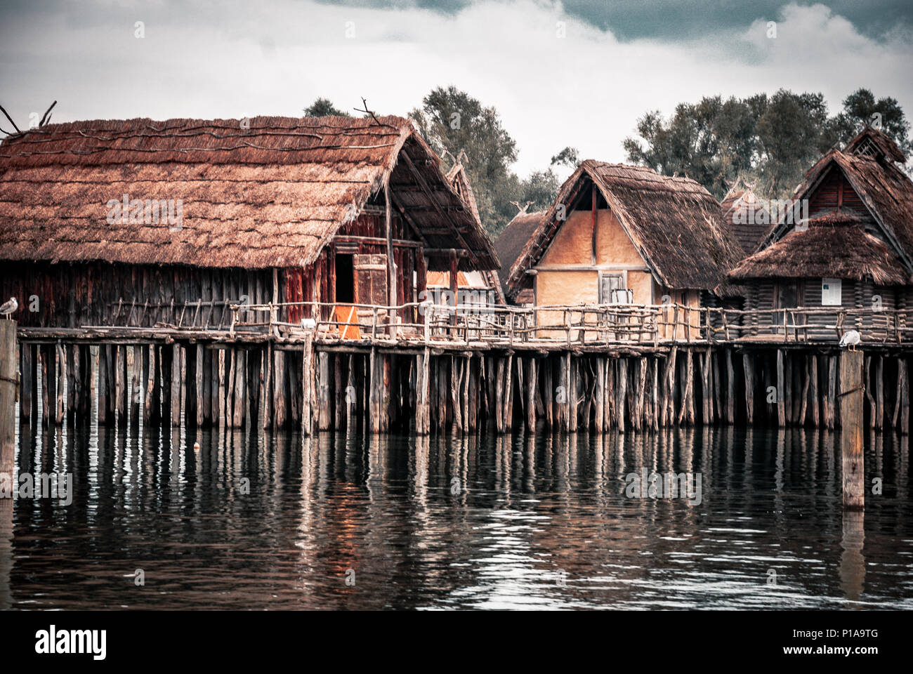 pile dwelling museum, bodensee Stock Photo