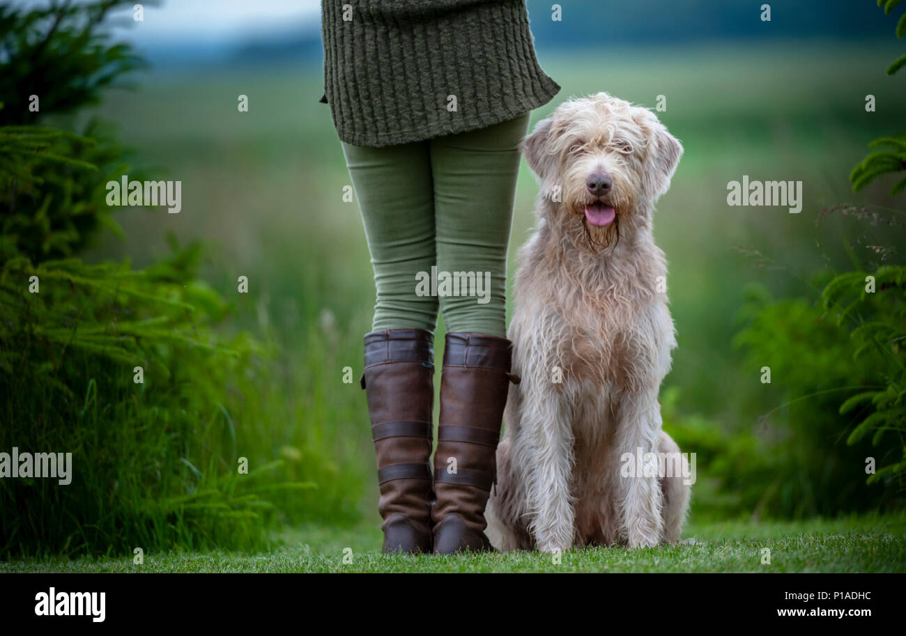 A woman with her back to the camera in leather boots stood in a paddock of spruce trees, with a dog, which is a Slovakian Rough Haired Pointer, sat lovingly and affectionately by her side Stock Photo