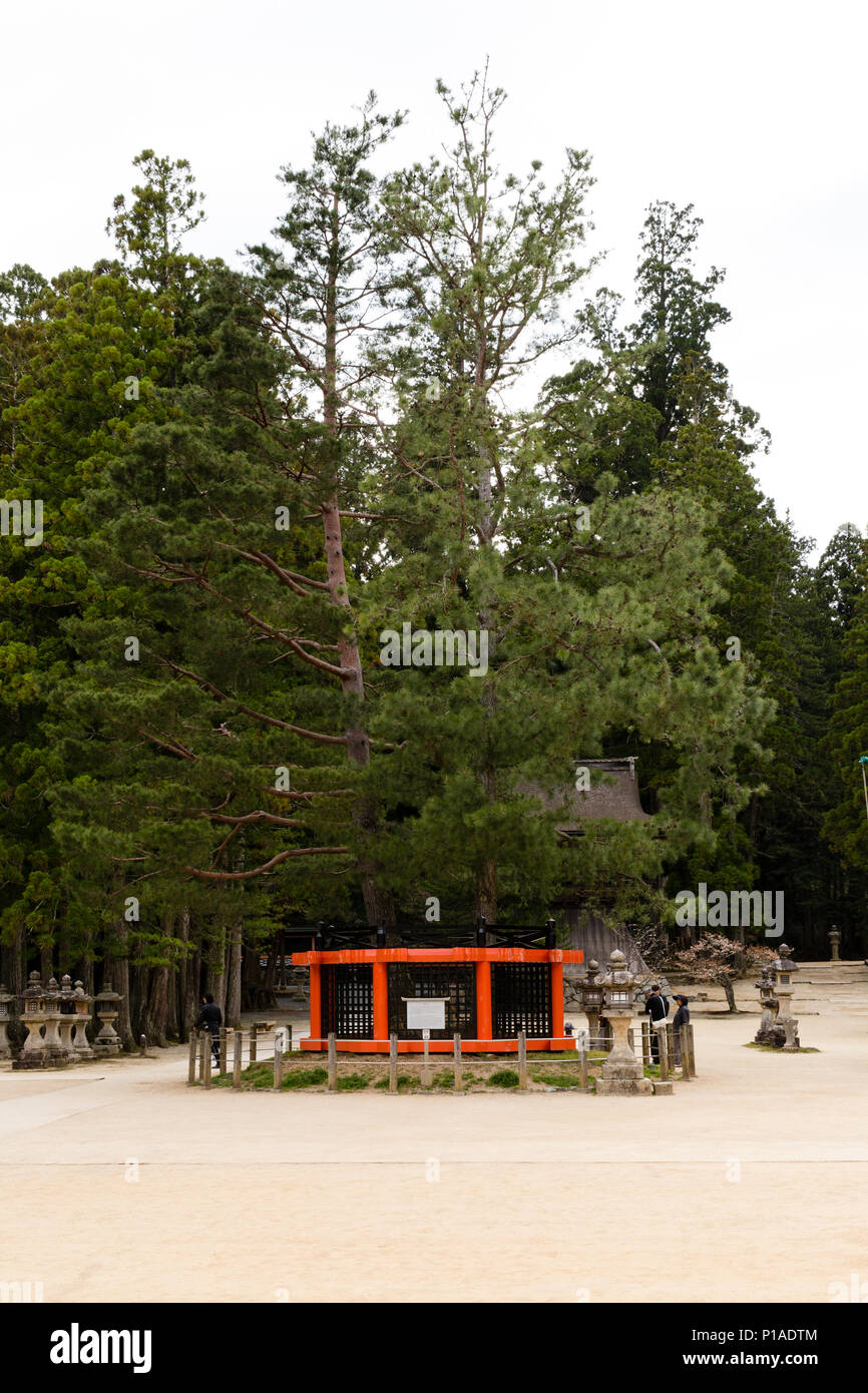 Sanko no Matsu (Three-pointed Vajra Pine Tree) in the Grounds of Dai Garan, Kongobu-ji Temple Complex, Koyasan, Japan. Stock Photo
