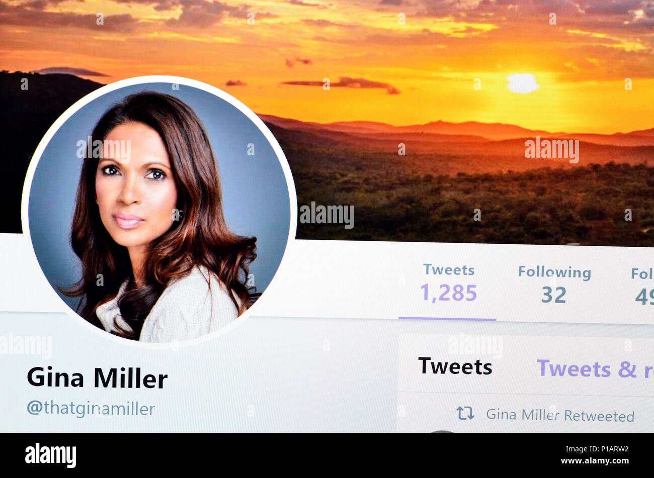 Gina Miller Twitter account home page (June 2018) Stock Photo