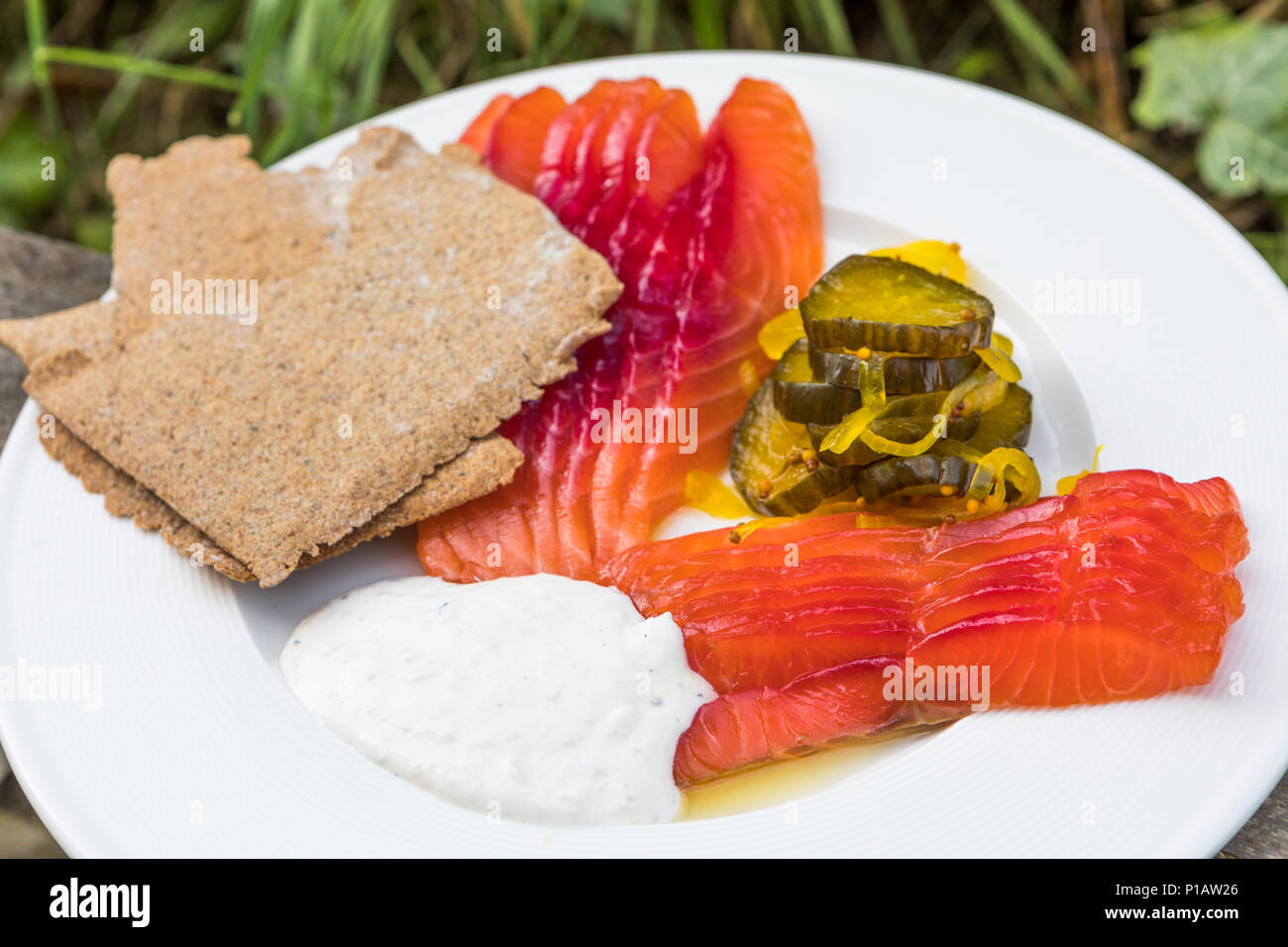 Beetroot cured salmon with pickles, rye crispbread and horse radish cream. Stock Photo
