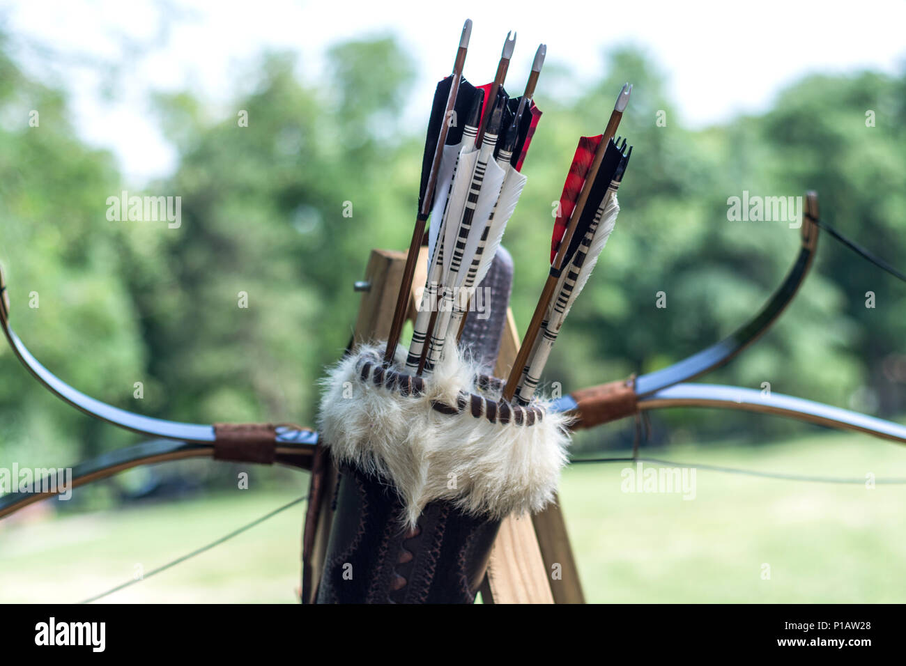 Medieval set of old wooden arrows in leather case and bows hanging on stand. Green forest blurred background. Close up, selective focus. Stock Photo