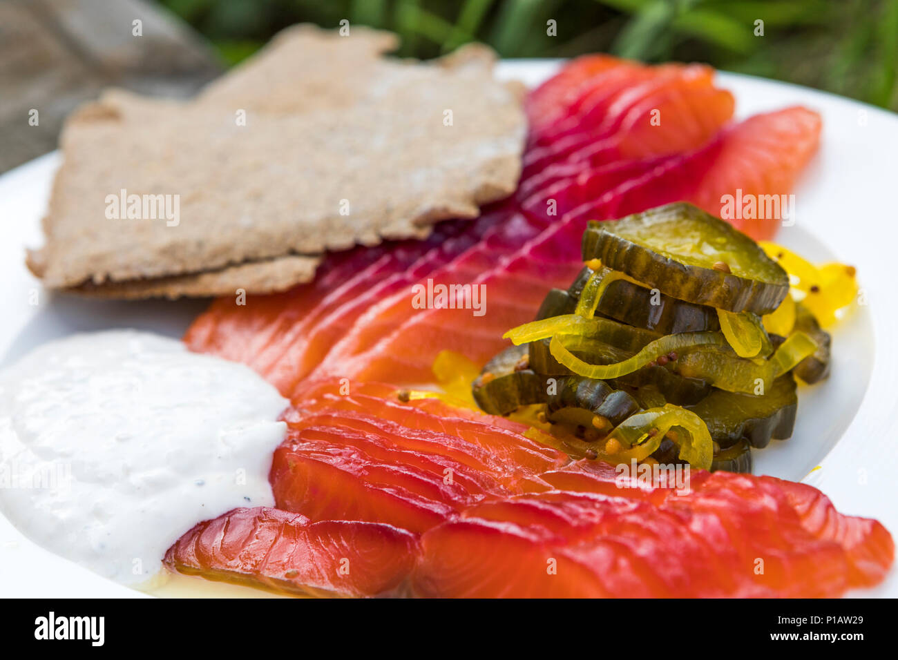 Beetroot cured salmon with pickles, rye crispbread and horse radish cream. Stock Photo