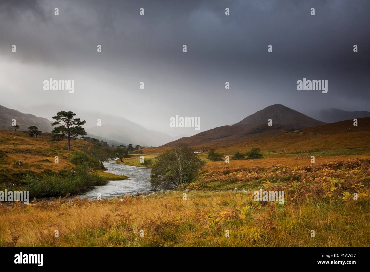 Tranquil landscape with stream, Glen Strathfarrar, Scotland Stock Photo
