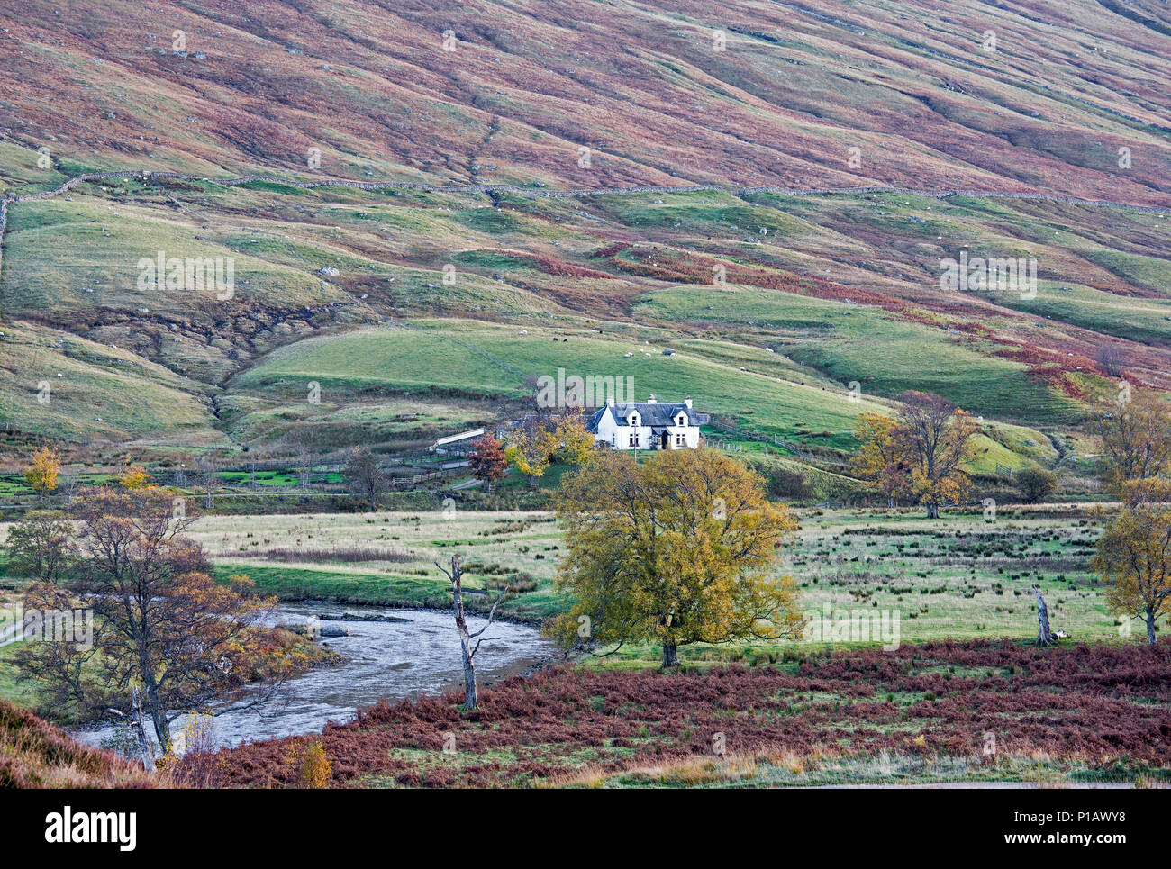 House in remote, rural glen, Glen Lyon, Scotland Stock Photo