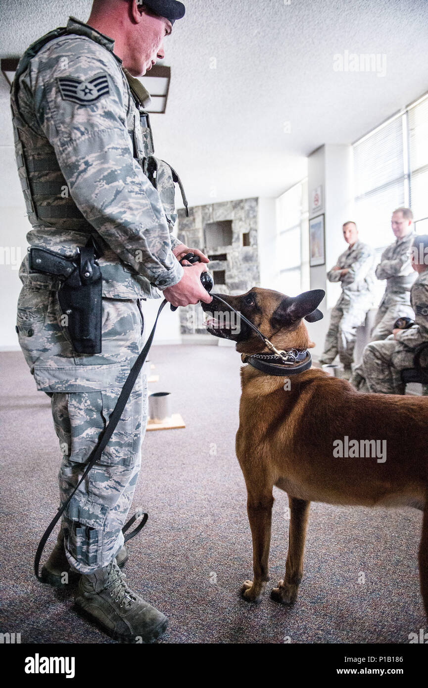 Handler Helper Matt Staff Sgt. Matthew McCarty of the 75th Security Forces Squadron ...