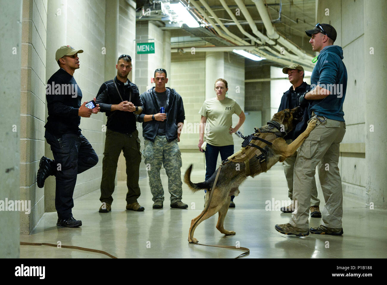 Bureau of Alcohol, Tobacco, Firearms and Explosives Special Agent Rennie Mora, left, talks with Staff Sgt. Joshua Rettschlag, 366th Security Forces Squadron, after completing homemade explosion detection testing Oct. 6 at Vivint Smart Home Arena, Salt Lake City. Airmen and their K-9 counterparts, along with dog teams from local, state and federal law enforcement agencies, received homemade explosives detection training from Bureau of Alcohol, Tobacco, Firearms and Explosives agents Oct. 5-6. (U.S. Air Force photo by R. Nial Bradshaw) Stock Photo