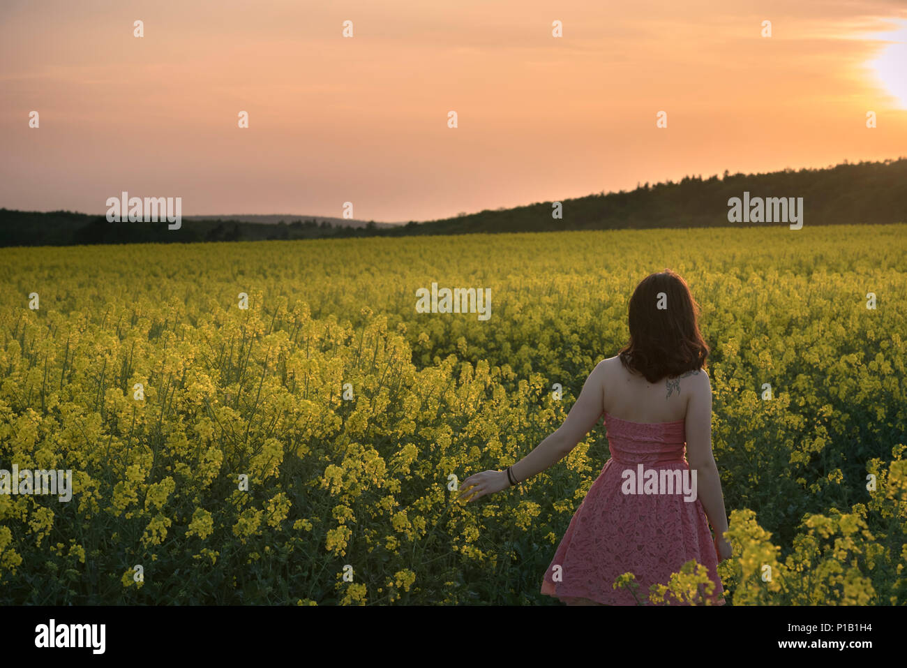 Attractive brunette girl in pink dress, walking through a yellow rapeseed culture enjoying the sunset light, in South Moravia region, Czech Republic. Stock Photo