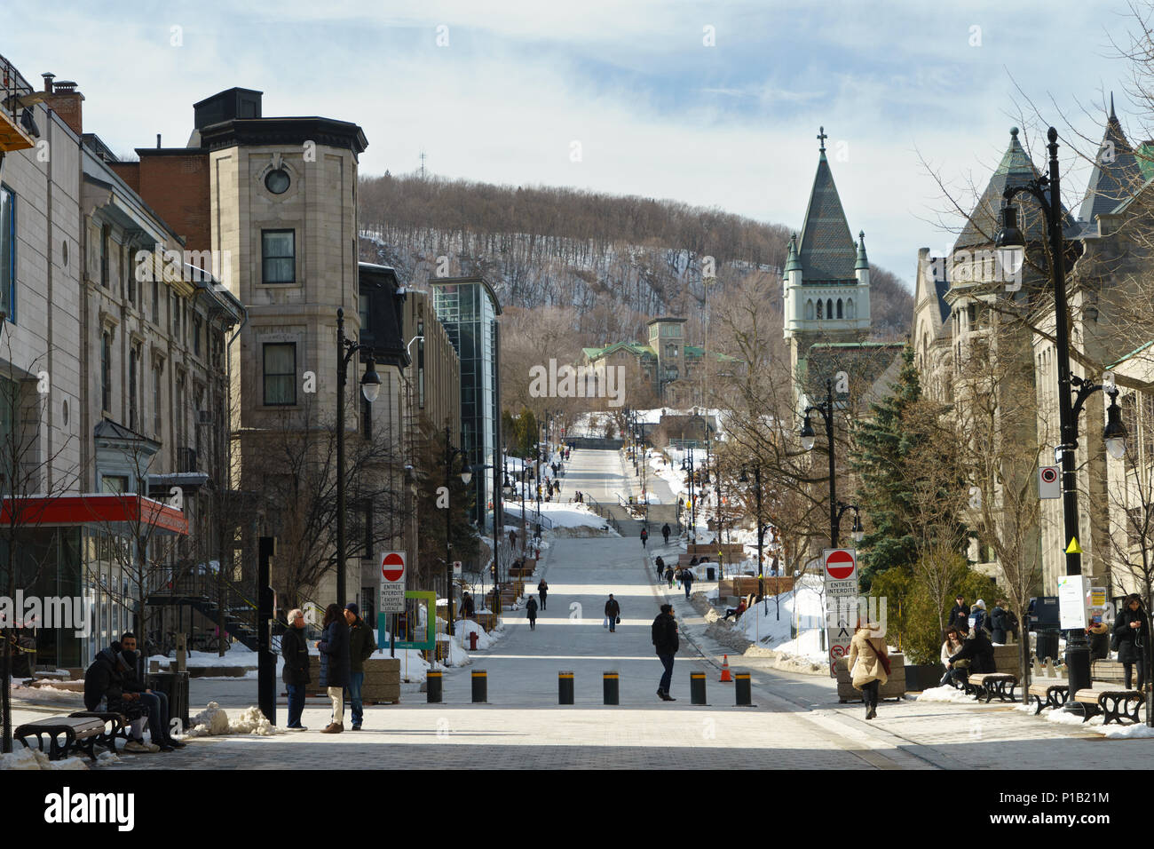 Looking towards Mount Royal, pedestrian section of McTavish street between Sherbrooke and Dr Penfield. Downtown Montreal, province of Quebec, Canada. Stock Photo