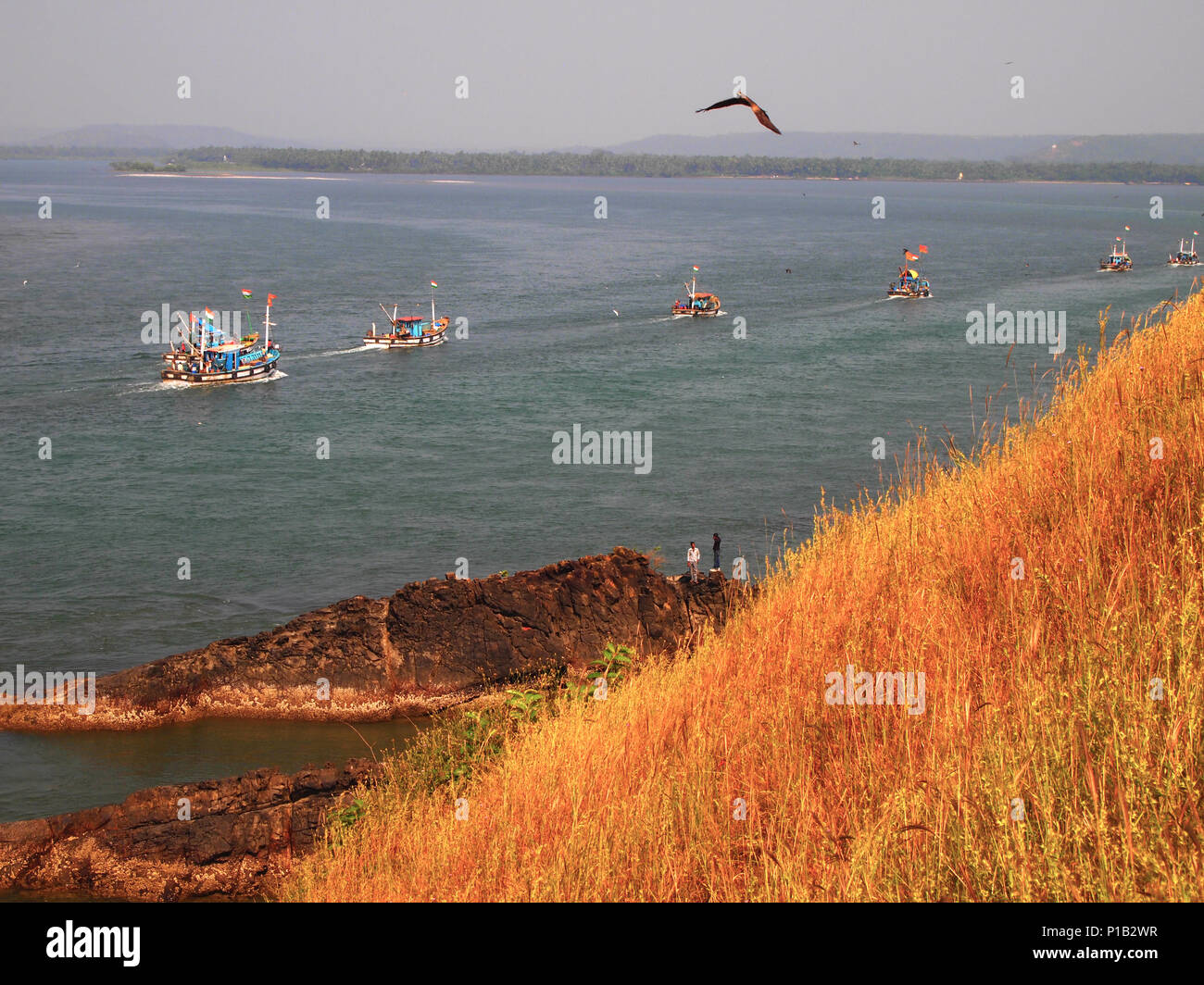 Artisanal fisheries fleet returning to port after a day’s fishing, in Goa, India Stock Photo Alamy