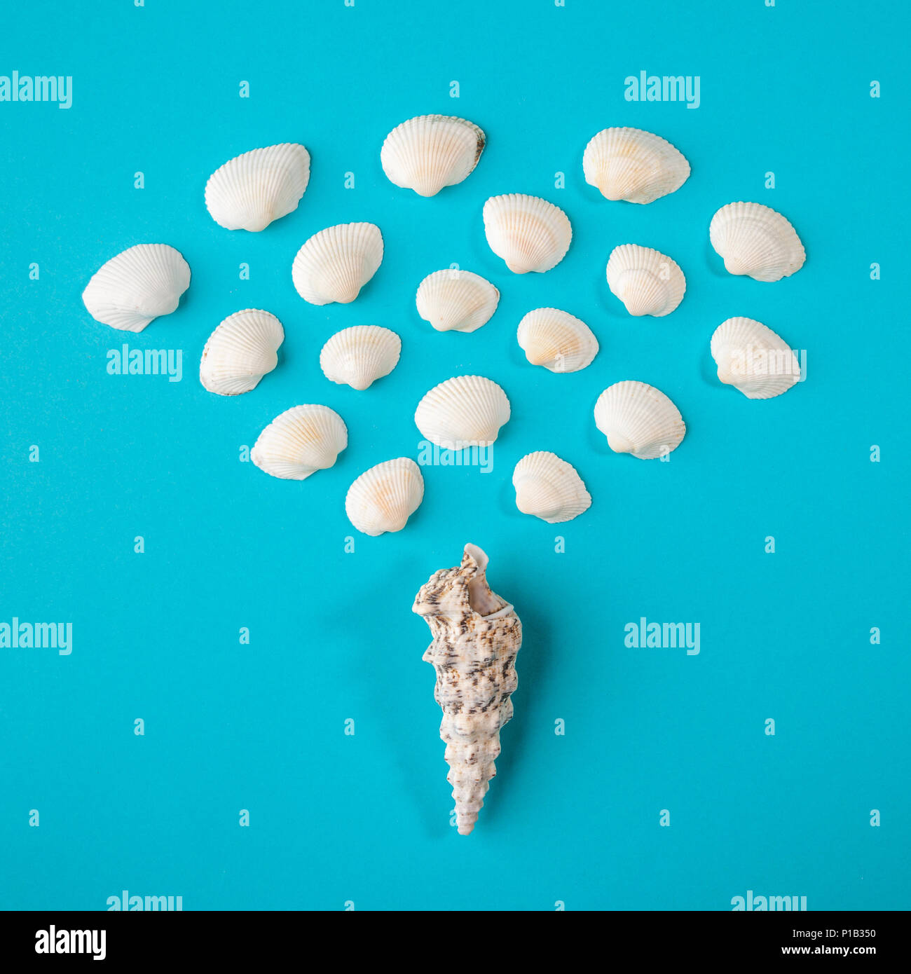 Seashell of cone shape with many little seashells on blue paper background Stock Photo