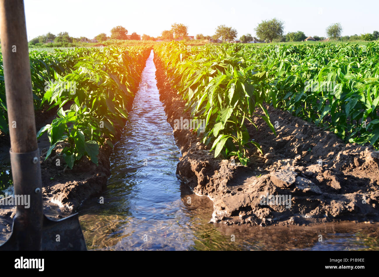 India irrigation canal hi-res stock photography and images - Alamy