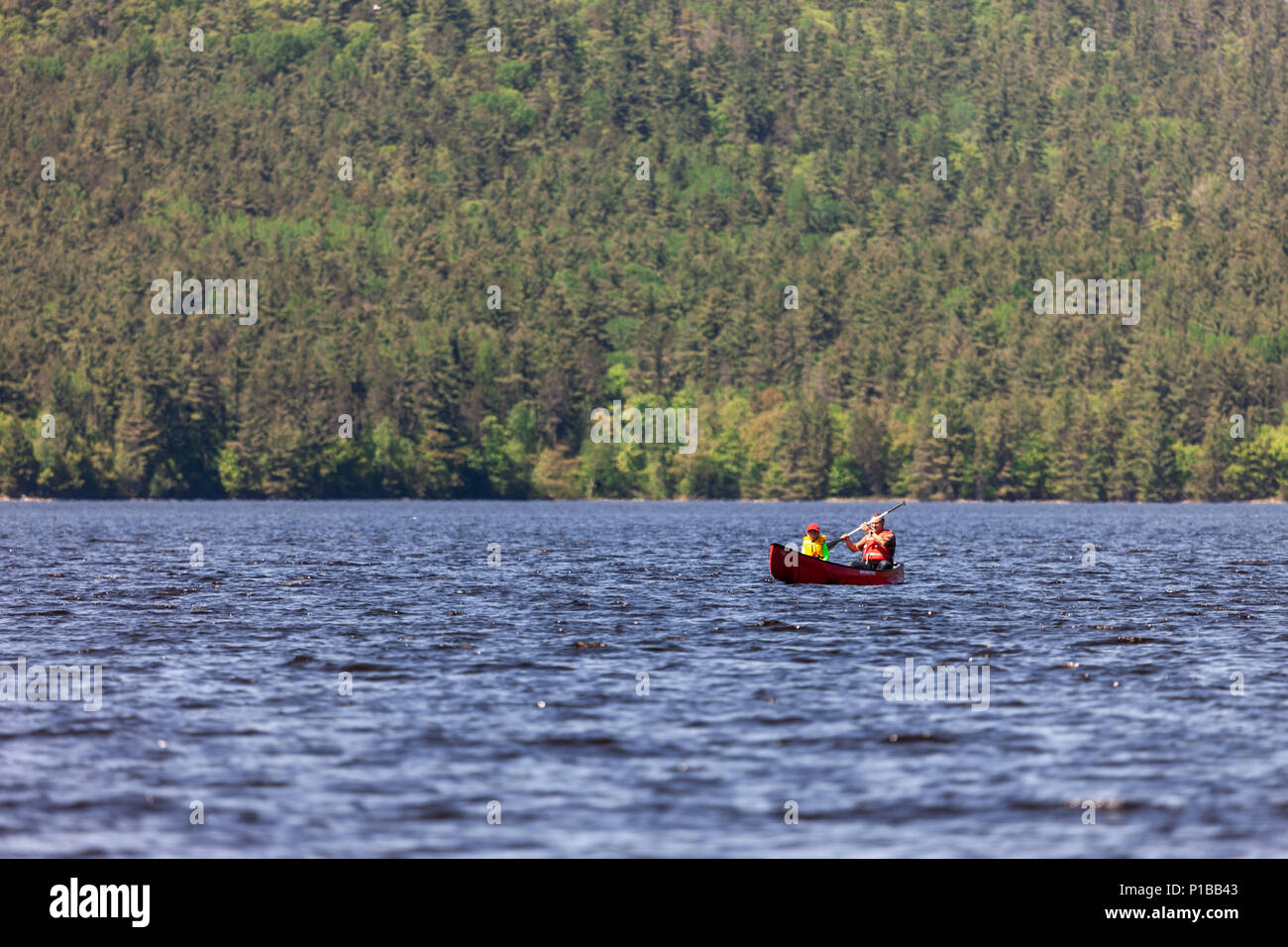 Paddlers make they way along the Ottawa River inside Driftwood