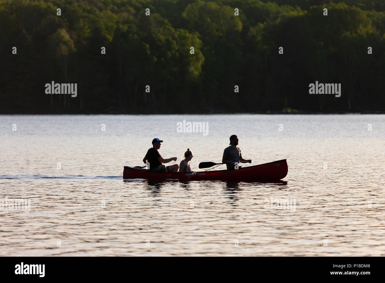 Paddlers make they way along the Ottawa River inside Driftwood