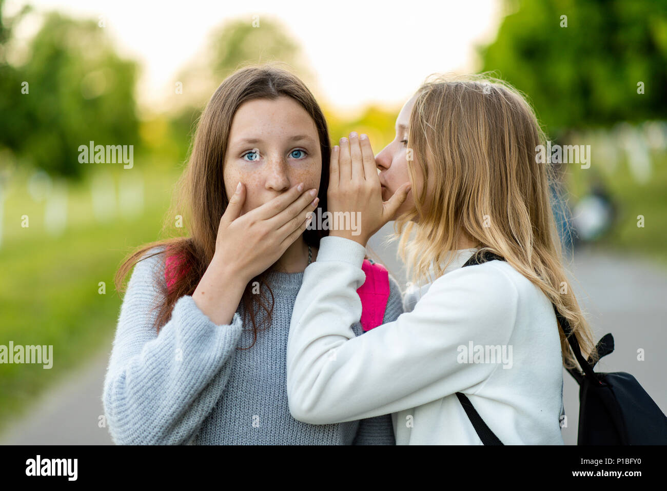 Where girlfriends schoolgirls. Summer in nature. They tell each other a secret. Surprise fear. Emotions of surprise. Dressed in casual clothes. Suddenly, indignation. Stock Photo