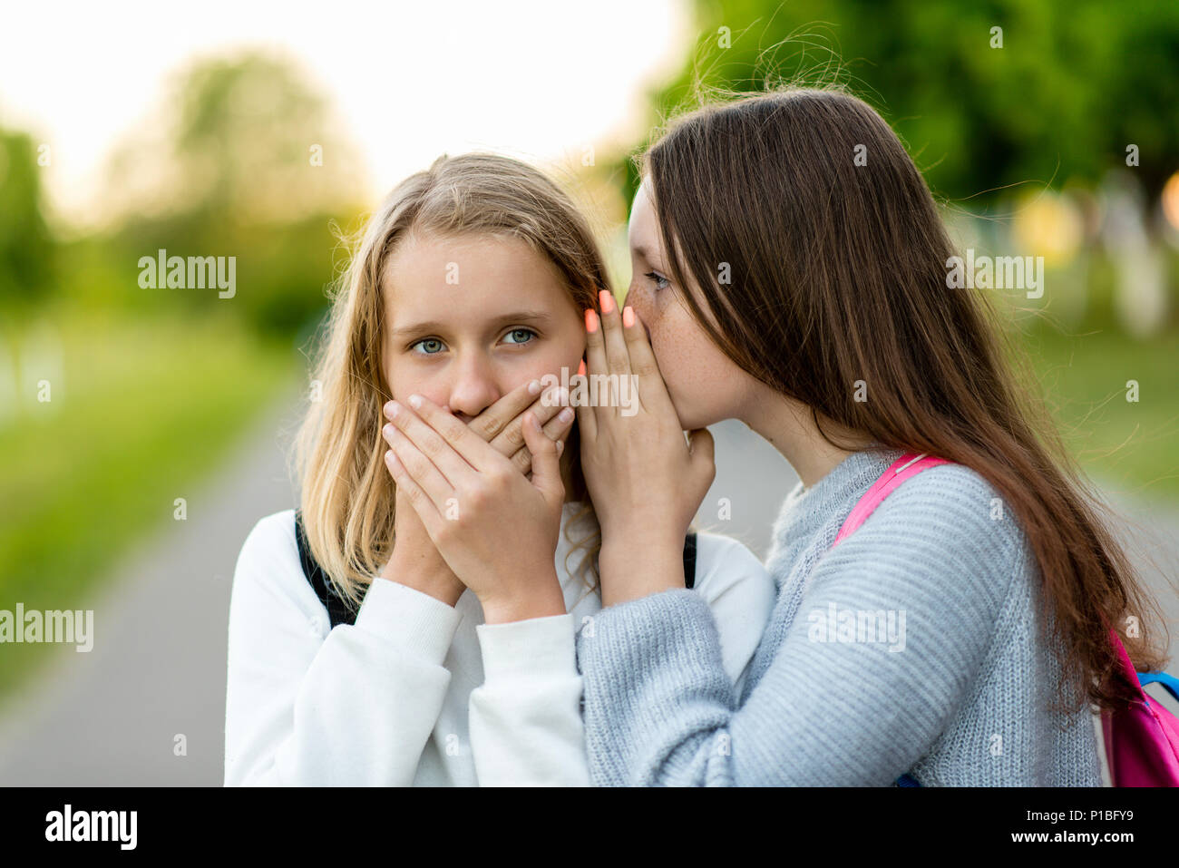 Where girlfriends schoolgirls. Summer in nature. They tell each other a secret. Surprise fear. Emotions of surprise. Dressed in casual clothes. Suddenly, indignation. Stock Photo