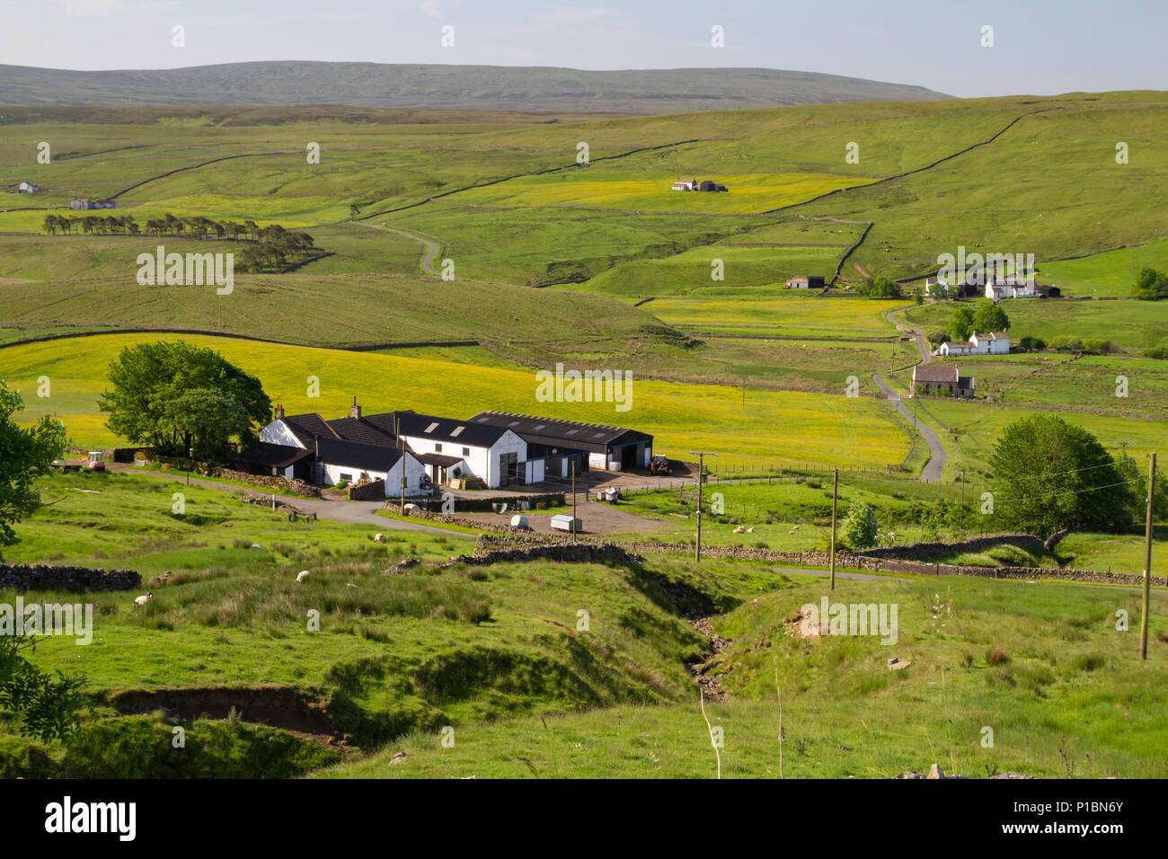 Harwood in Upper Teesdale, County Durham Stock Photo