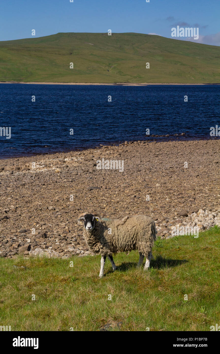 Low water level at Cow Green Reservoir, Upper Teesdale Stock Photo