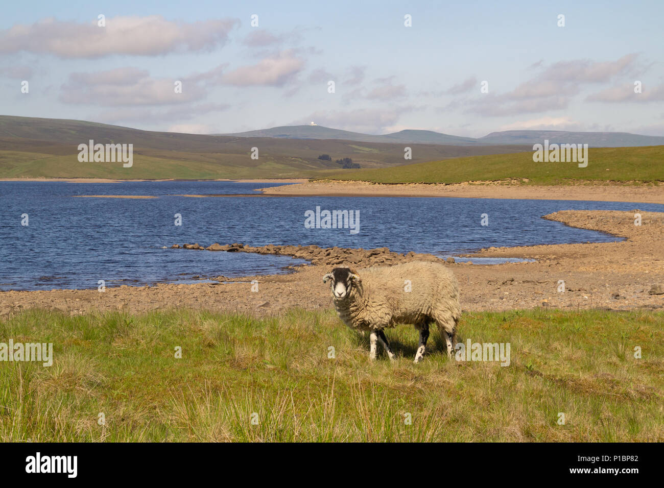 Low water level at Cow Green Reservoir, Upper Teesdale Stock Photo