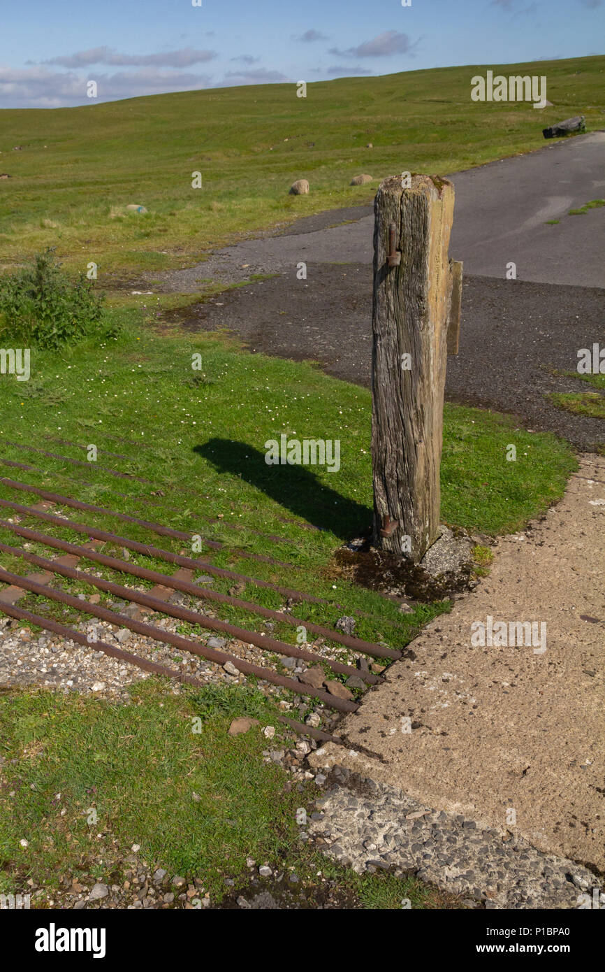 Overgrown cattle grid Stock Photo