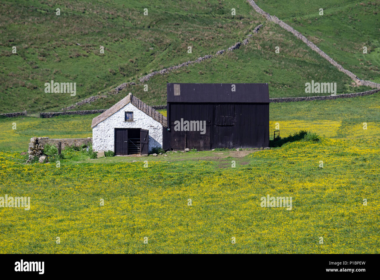 Harwood in Upper Teesdale, County Durham Stock Photo