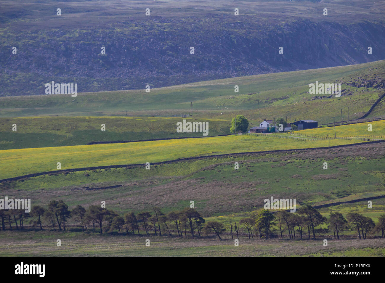 Harwood in Upper Teesdale, County Durham Stock Photo