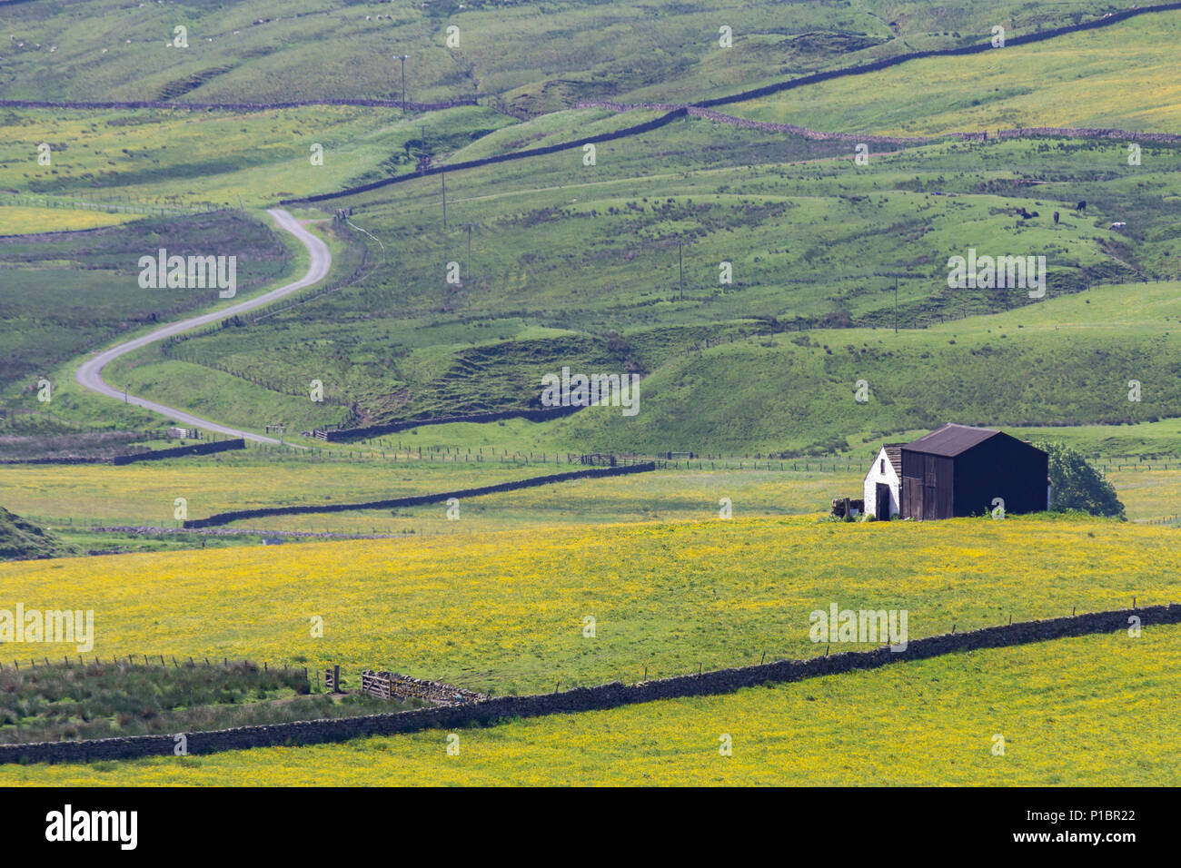 Harwood in Upper Teesdale, County Durham Stock Photo