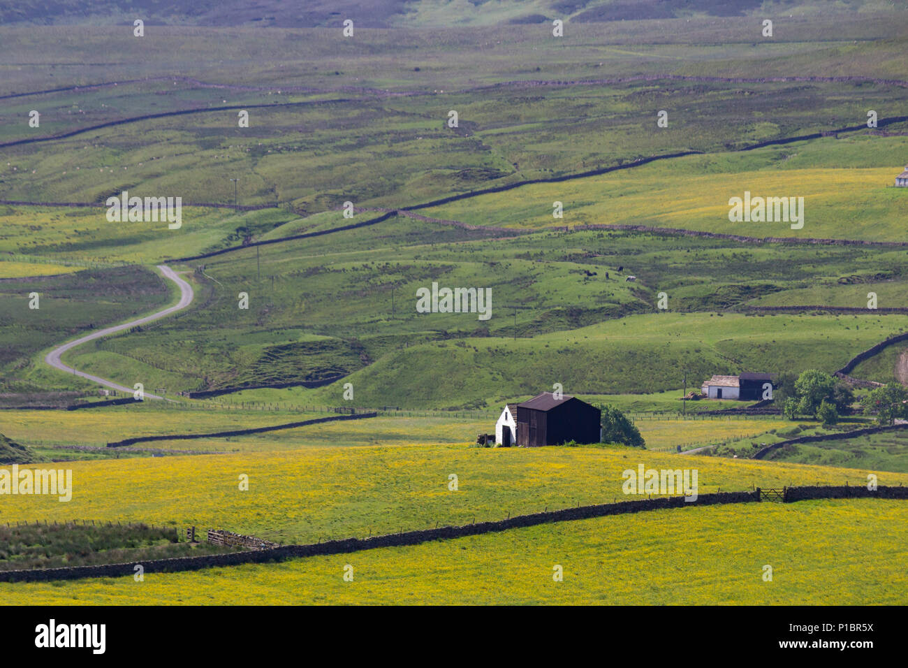 Harwood in Upper Teesdale, County Durham Stock Photo