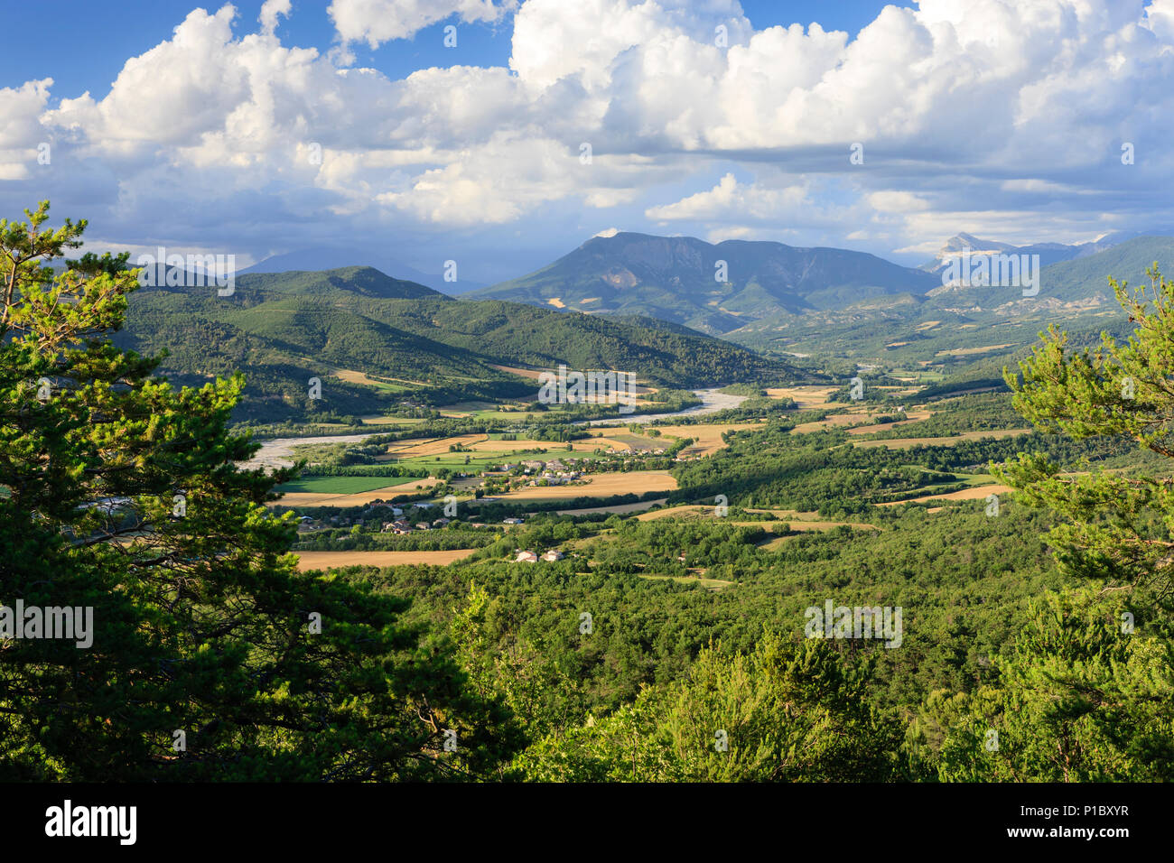 Puimoisson Valensole Plateau Forcalquier Alpes-de-Haute-Provence Provence-Alpes-Cote d'Azur France Stock Photo