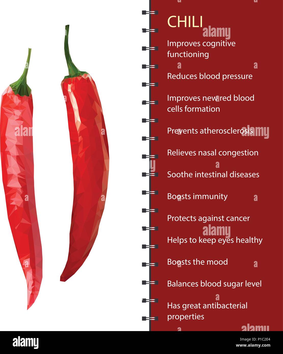 Red hot chili pepper pod realistic image vector illustration Stock Vector